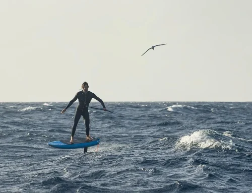 Teaser L&rsquo;Albatros