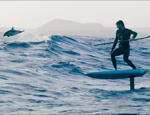 Downwind Foil aux Canaries