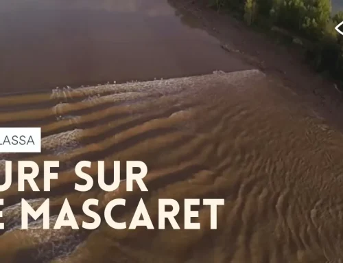 Thalassa ; surf sur le mascaret